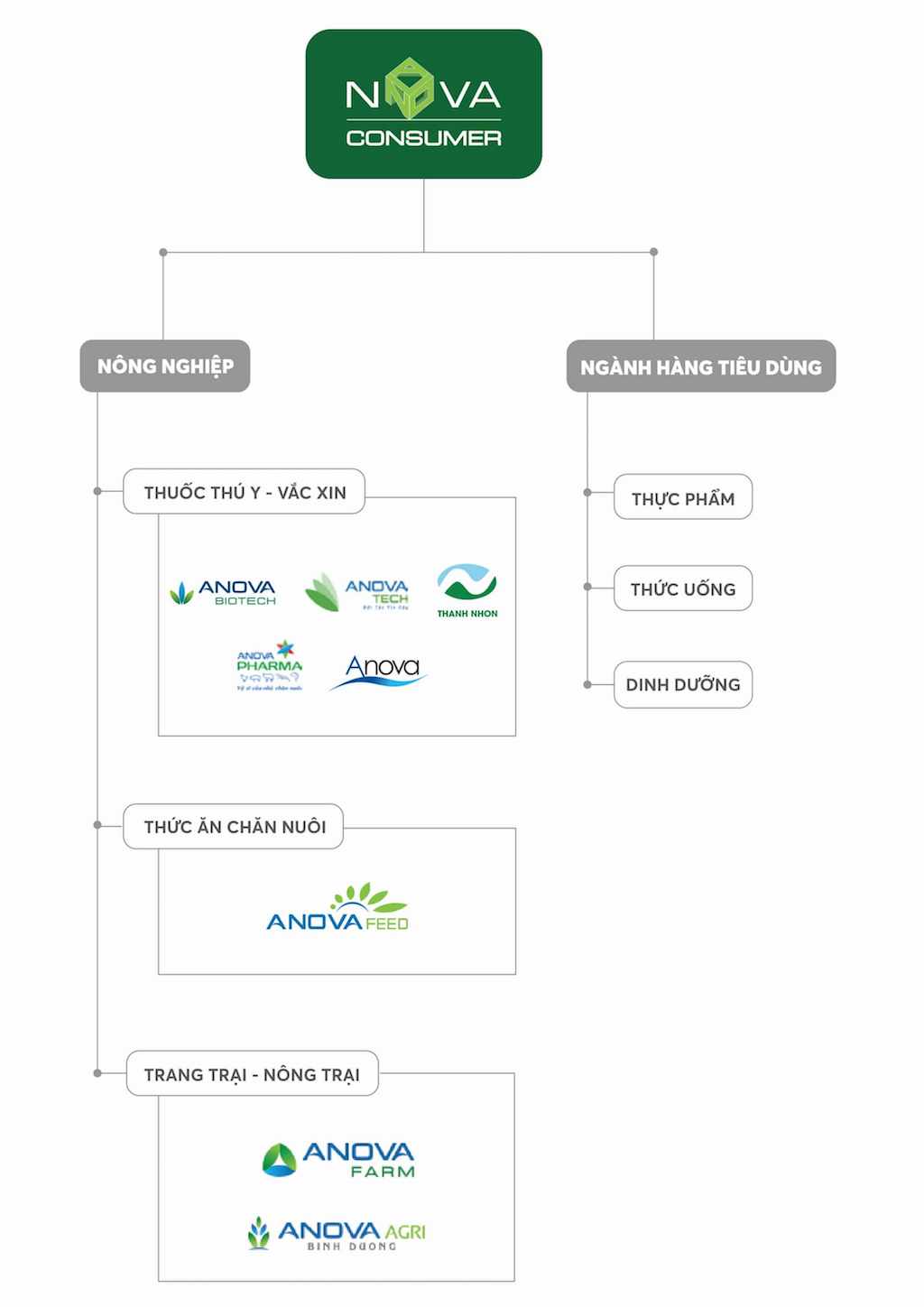 Hệ sinh thái của Nova Consumer Group